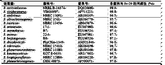 Streptomyces viridocyaneus Sv-29 and application thereof