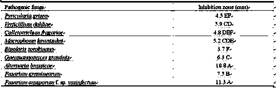 Streptomyces viridocyaneus Sv-29 and application thereof