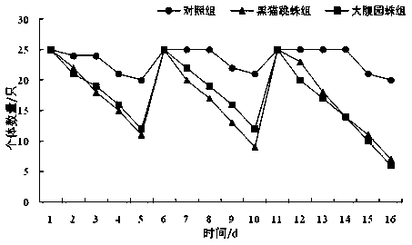 Method for catching airport dominant insects by using Carrhotus xanthogramma