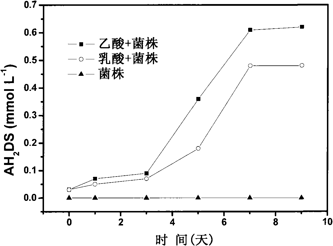 Corynebacterium humireducens and application thereof