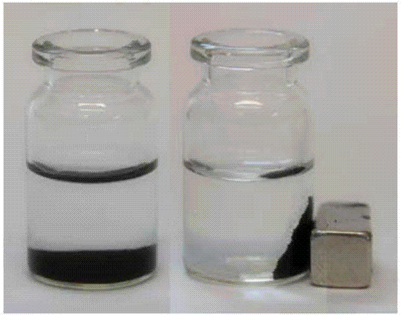 Preparation method of magnetic-cellulose-microsphere-immobilized lipase catalyst