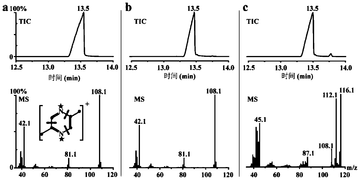 Method for biocatalytic synthesis of alkylpyrazine containing monomethyl semi ring