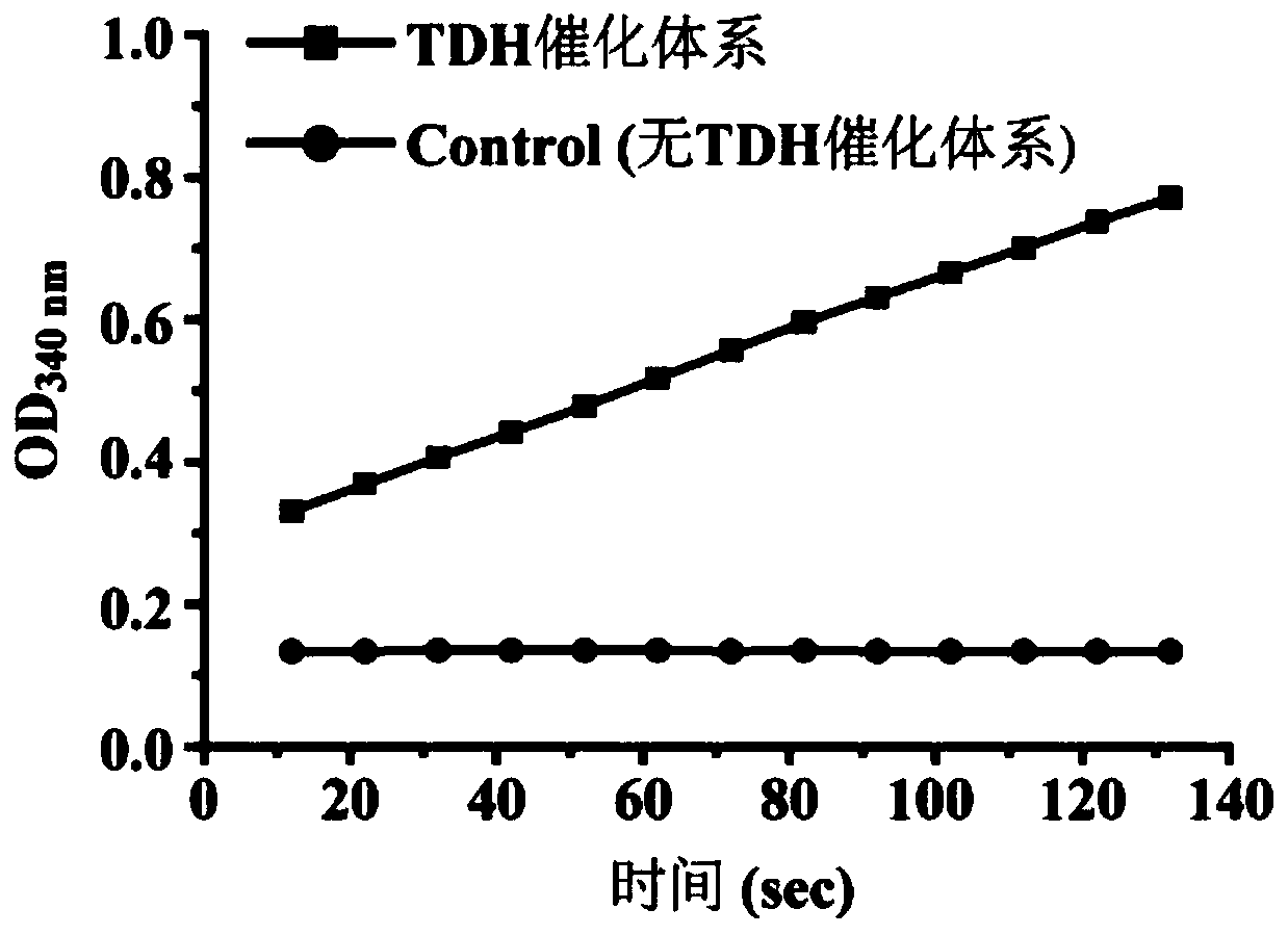 Method for biocatalytic synthesis of alkylpyrazine containing monomethyl semi ring