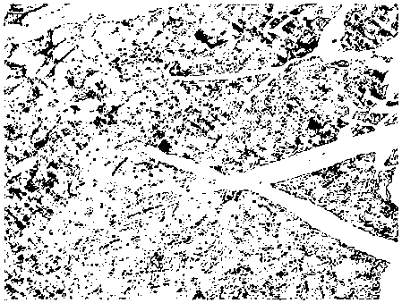 Hemostatic material as well as preparation method and application thereof