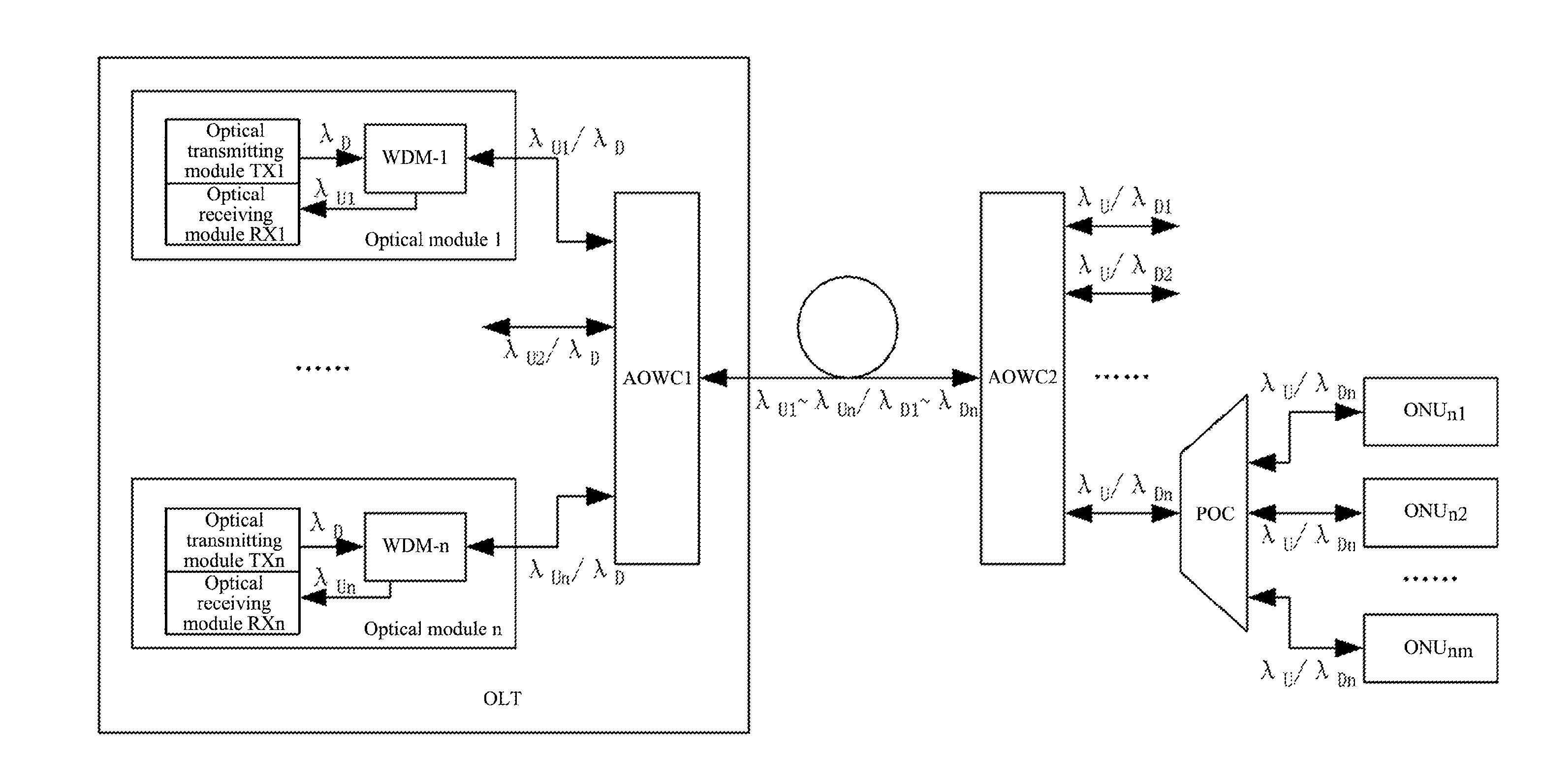 Wavelength Division and Time Division Multiplex Mixing Passive Optical Network System, Terminal and Signal Transmission Method