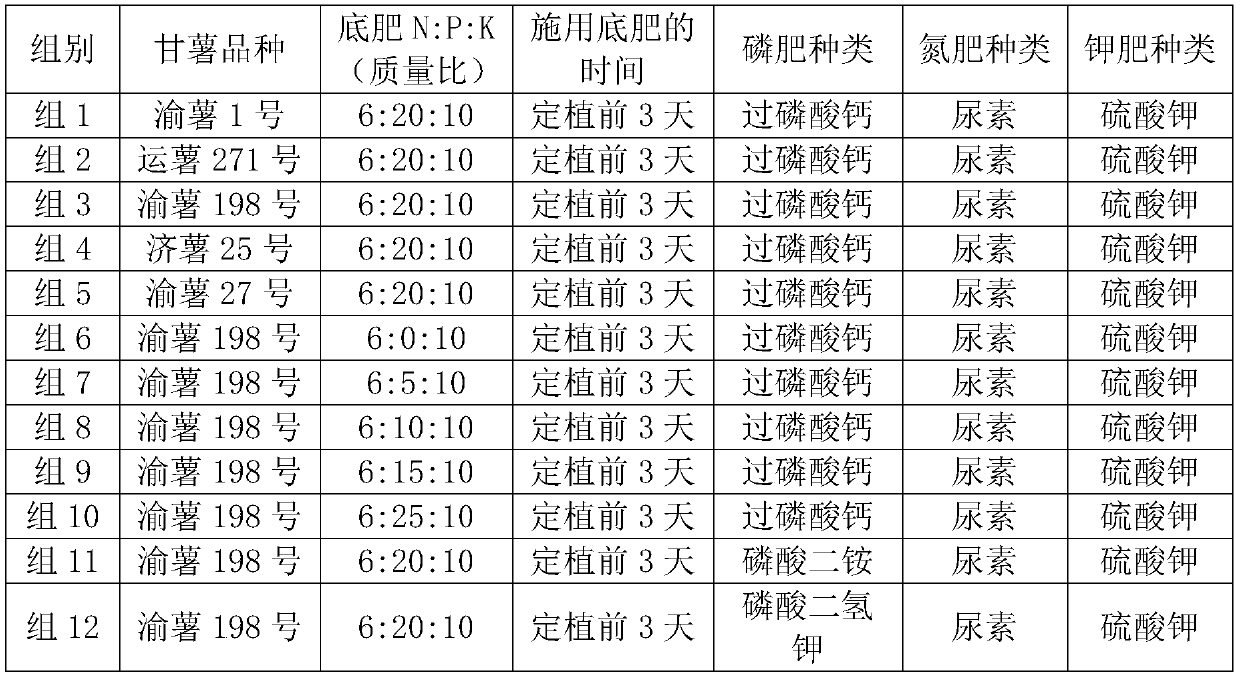 Sweet potato with high starch quality and planting method thereof