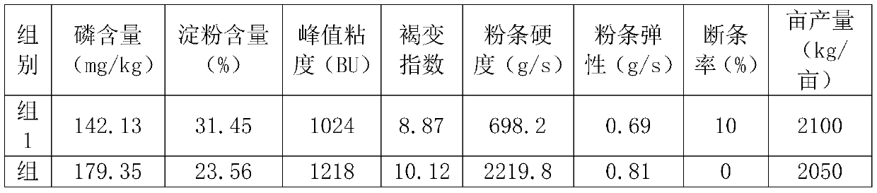 Sweet potato with high starch quality and planting method thereof