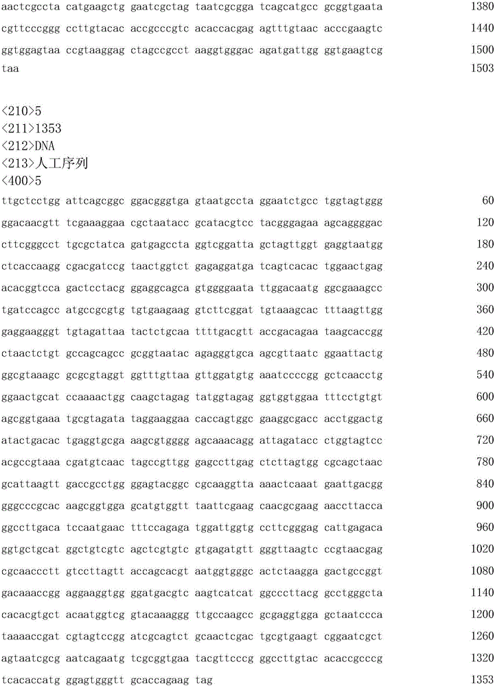 Phosphate-solubilizing potassium-solubilizing complex microbial agent special for tea trees and preparation method of phosphate-solubilizing potassium-solubilizing complex microbial agent