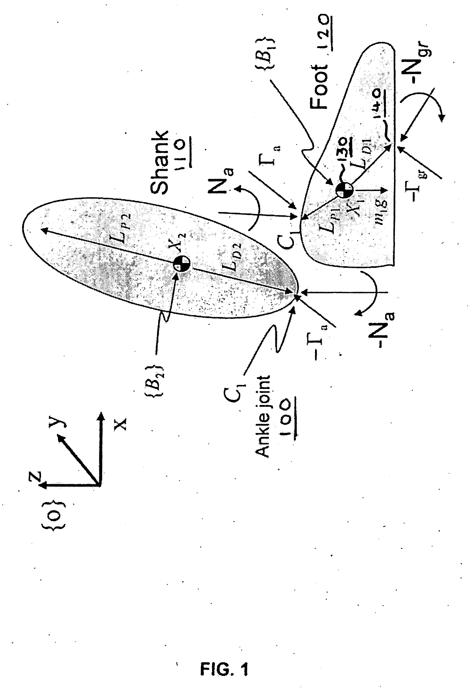 Active control of an ankle-foot orthosis