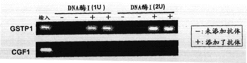 Method of detecting methylated DNA in sample