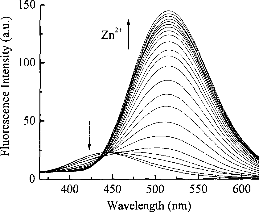 Synthesis of N-acyl-8-amino quinoline derivatives and use thereof as fluorescent molecular probe