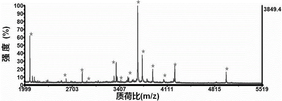 Dendrimer-modified MOF material, and preparation method and application thereof