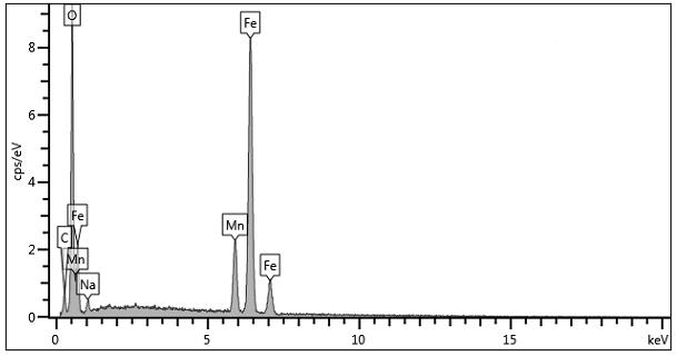 Preparation of magnetic immobilized penicillin G acylase doped with divalent manganese ions