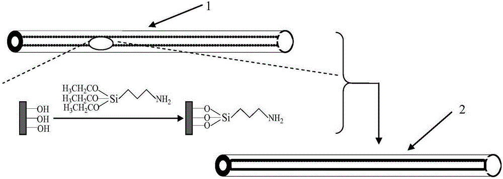 Capillary electrochromatography enzyme microreactor based on functionalized graphene and preparation method thereof