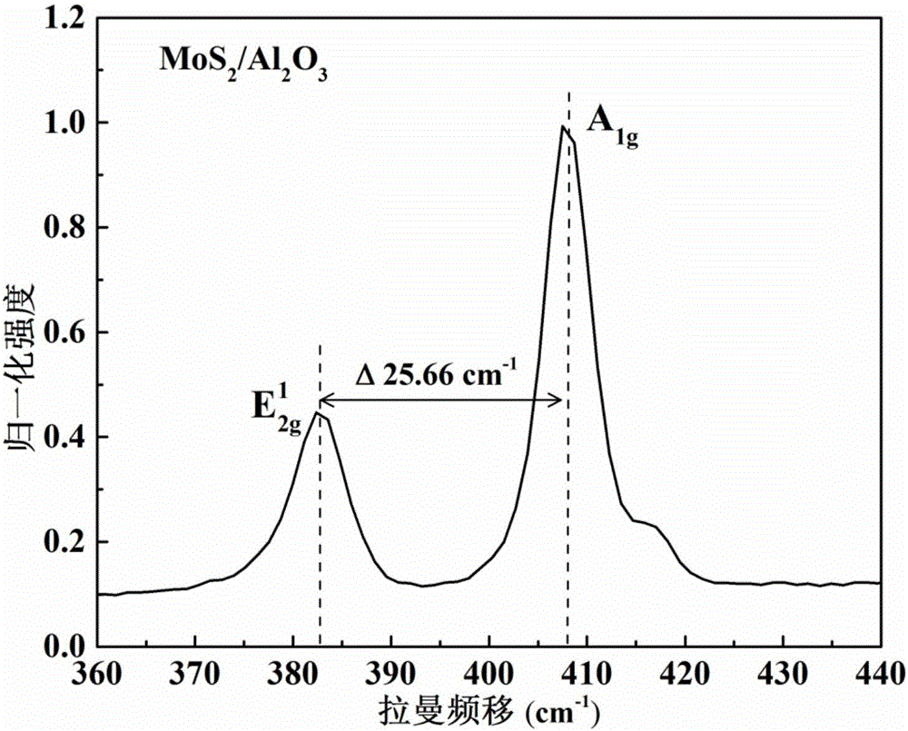 Molybdenum disulfide film and preparation method thereof