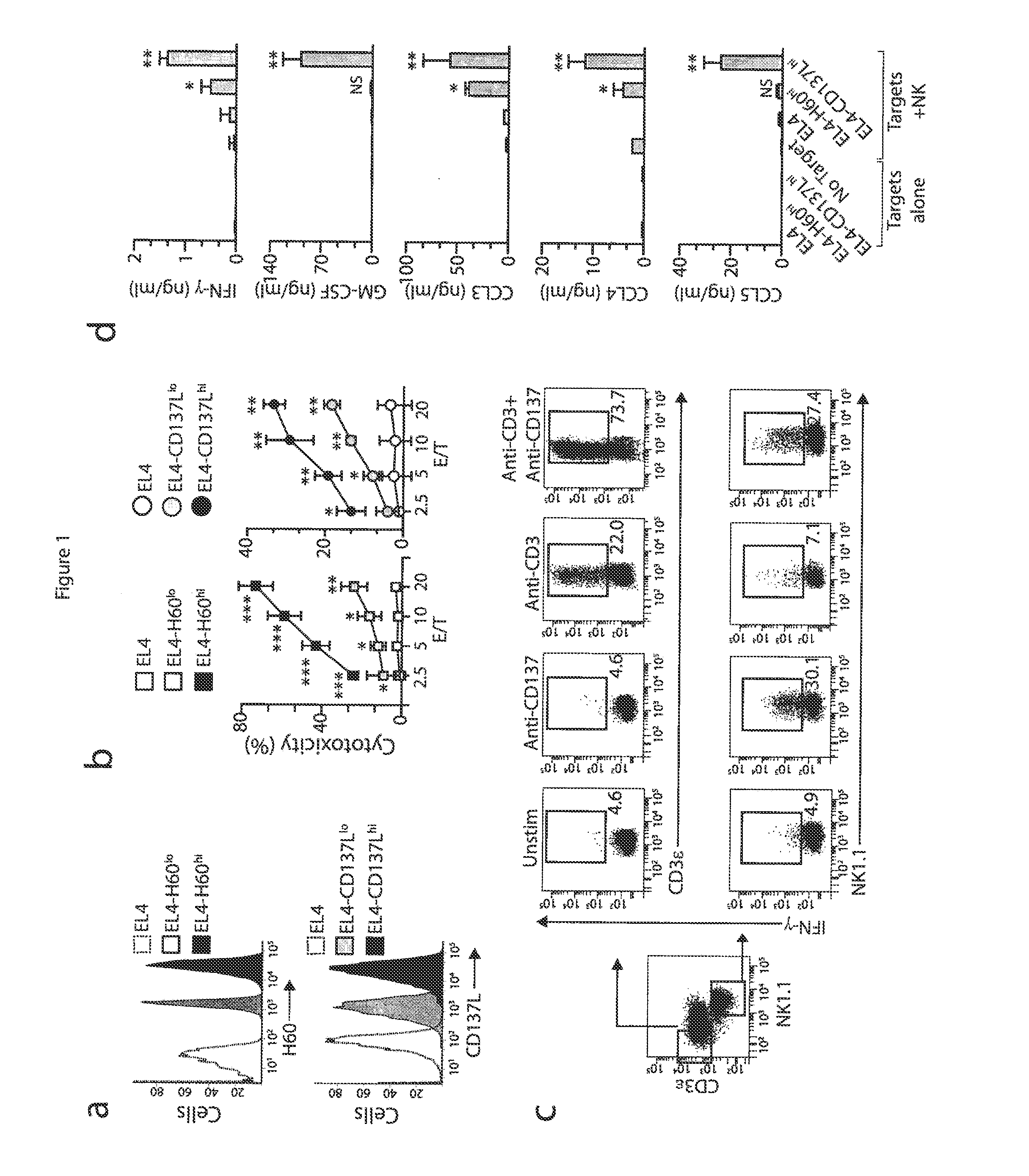 Method of providing cellular therapy using modified natural killer cells or t lymphocytes