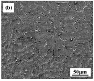 Medical degradable and absorbable Mg-Sr system magnesium alloy implant and preparation method thereof