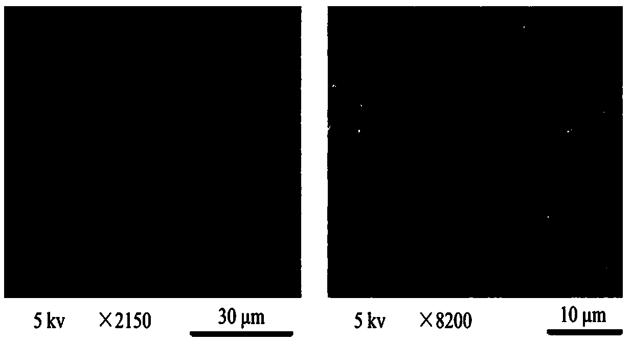 Preparation method and application of nano silver-bamboo shoot shell biochar composite material