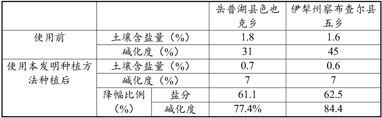 Method for planting lycium barbarum in saline-alkali land and application thereof