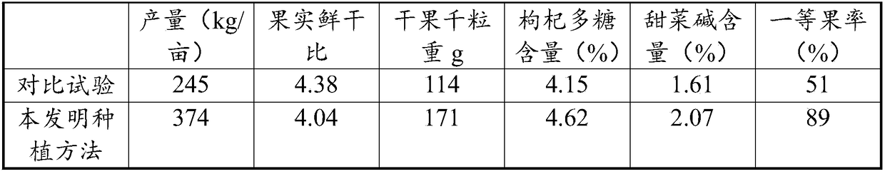 Method for planting lycium barbarum in saline-alkali land and application thereof