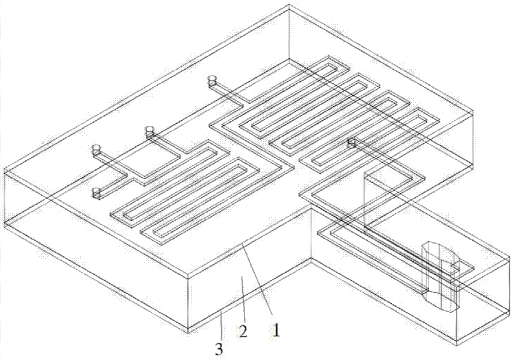 Microfluidic chip, detection system and detection method for total phosphorus detection