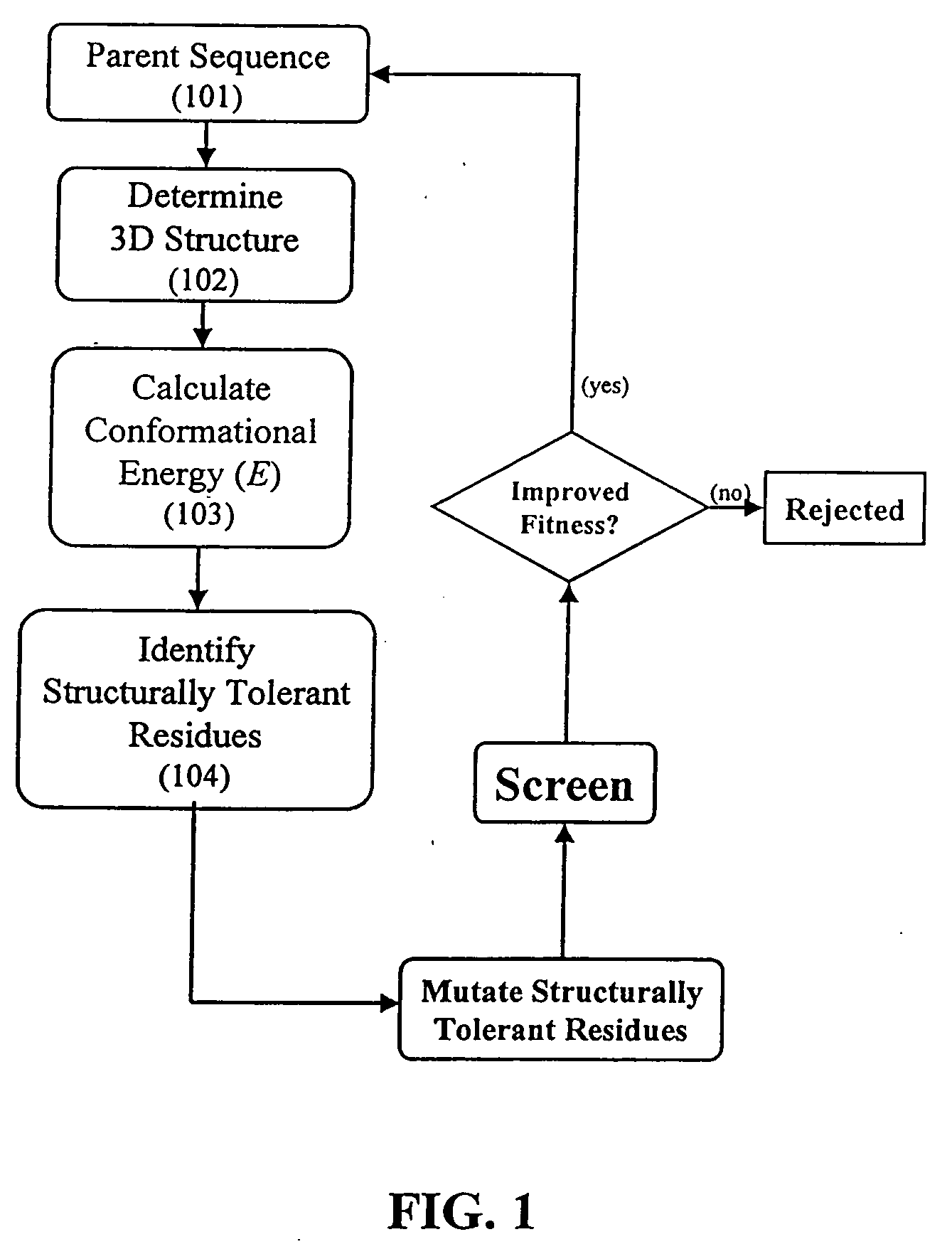 Computationally targeted evolutionary design