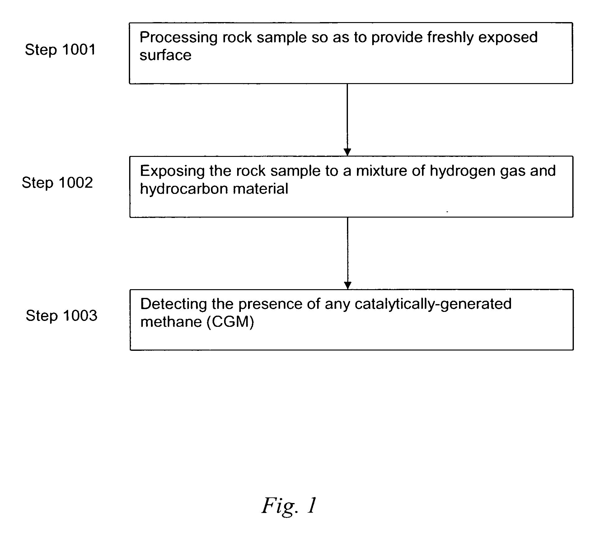 Rock assay for predicting oil or gas in target reservoirs