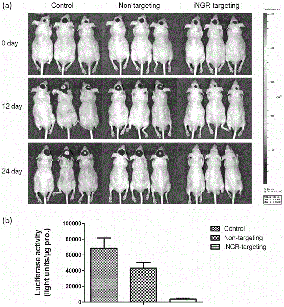 iNGR-modified targeted self-assembly RNAi NANO drug delivery system for brain glioma and preparation method of system