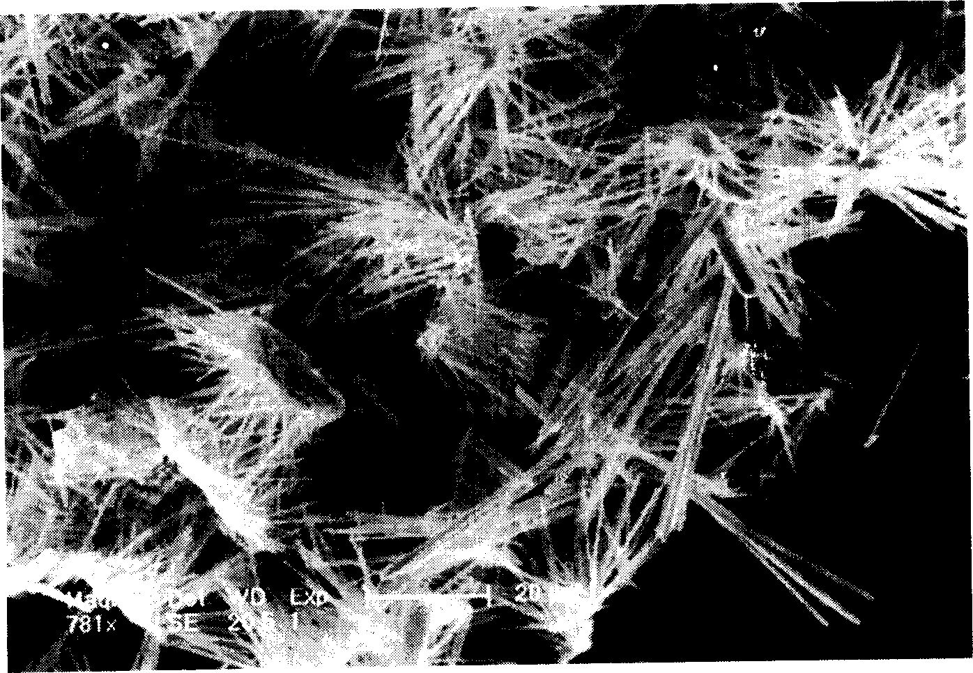 Process for preparing sodium antimony sulfide microwires and array thereof