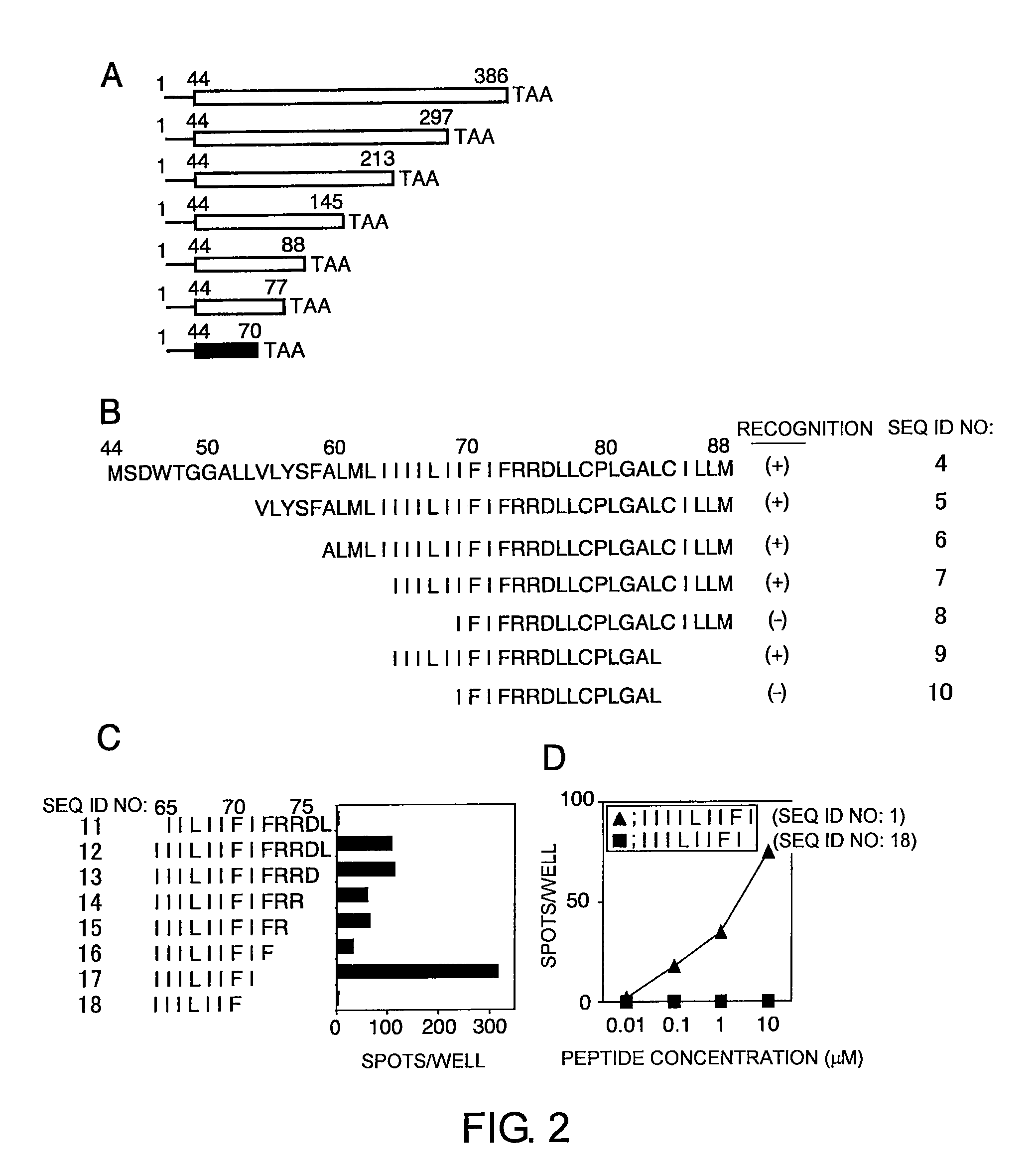 Cytotoxic T-cell epitope peptides that specifically attack epstein-barr virus-infected cells and uses thereof