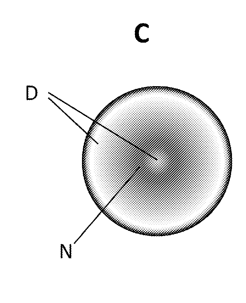 Contact lens optimizer