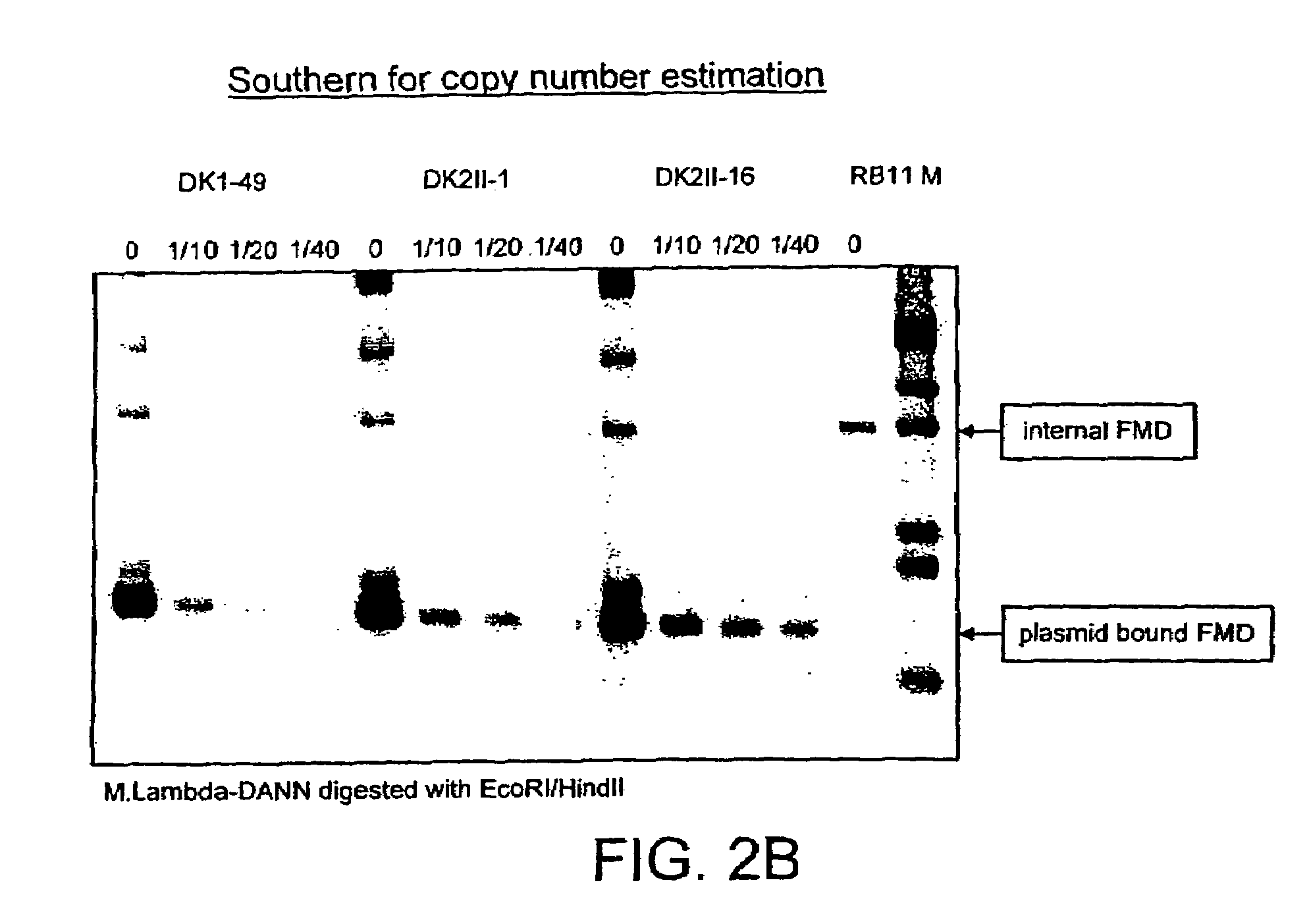 Method of extracting recombinant hexose oxidase