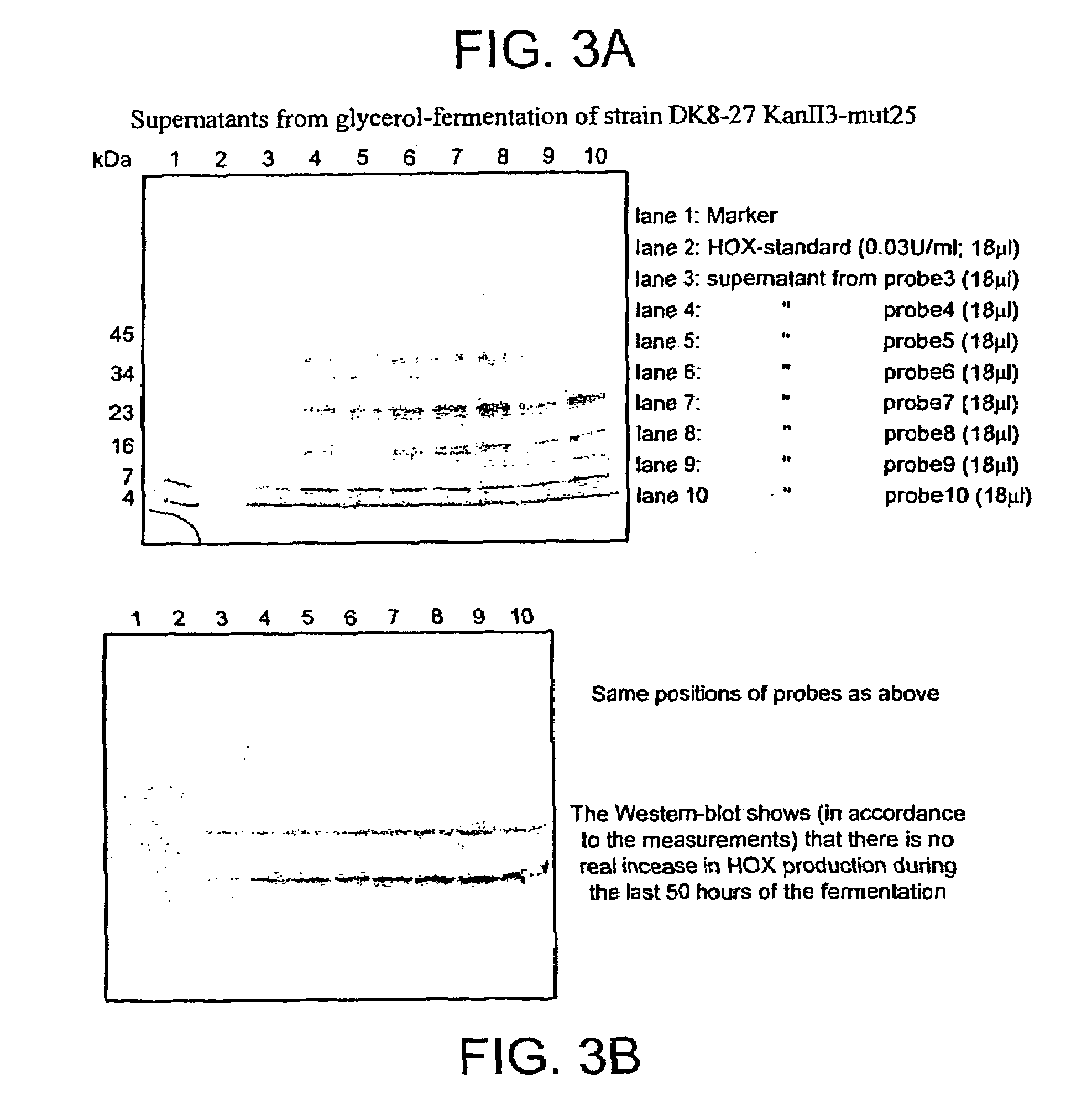 Method of extracting recombinant hexose oxidase