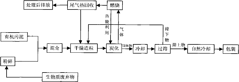 Sludge carbon fertilizer and production method thereof