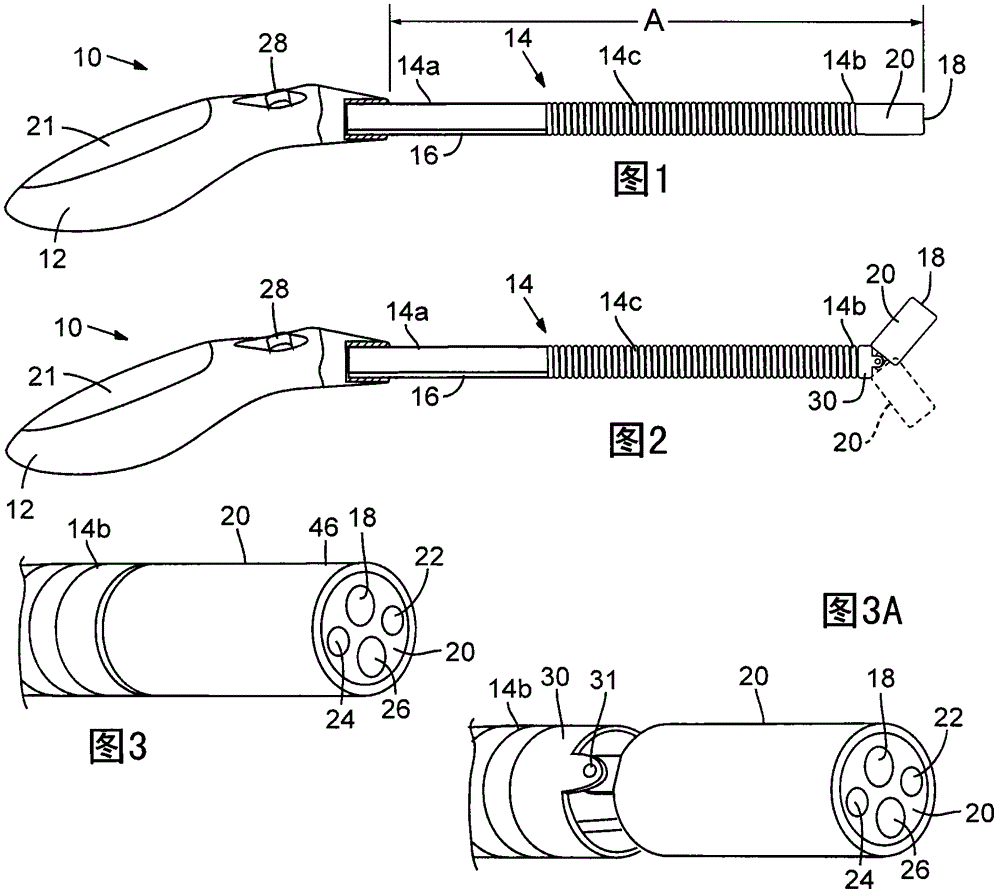 Oral scope system with image sensor and method for visual examination of oral cavity and upper airway