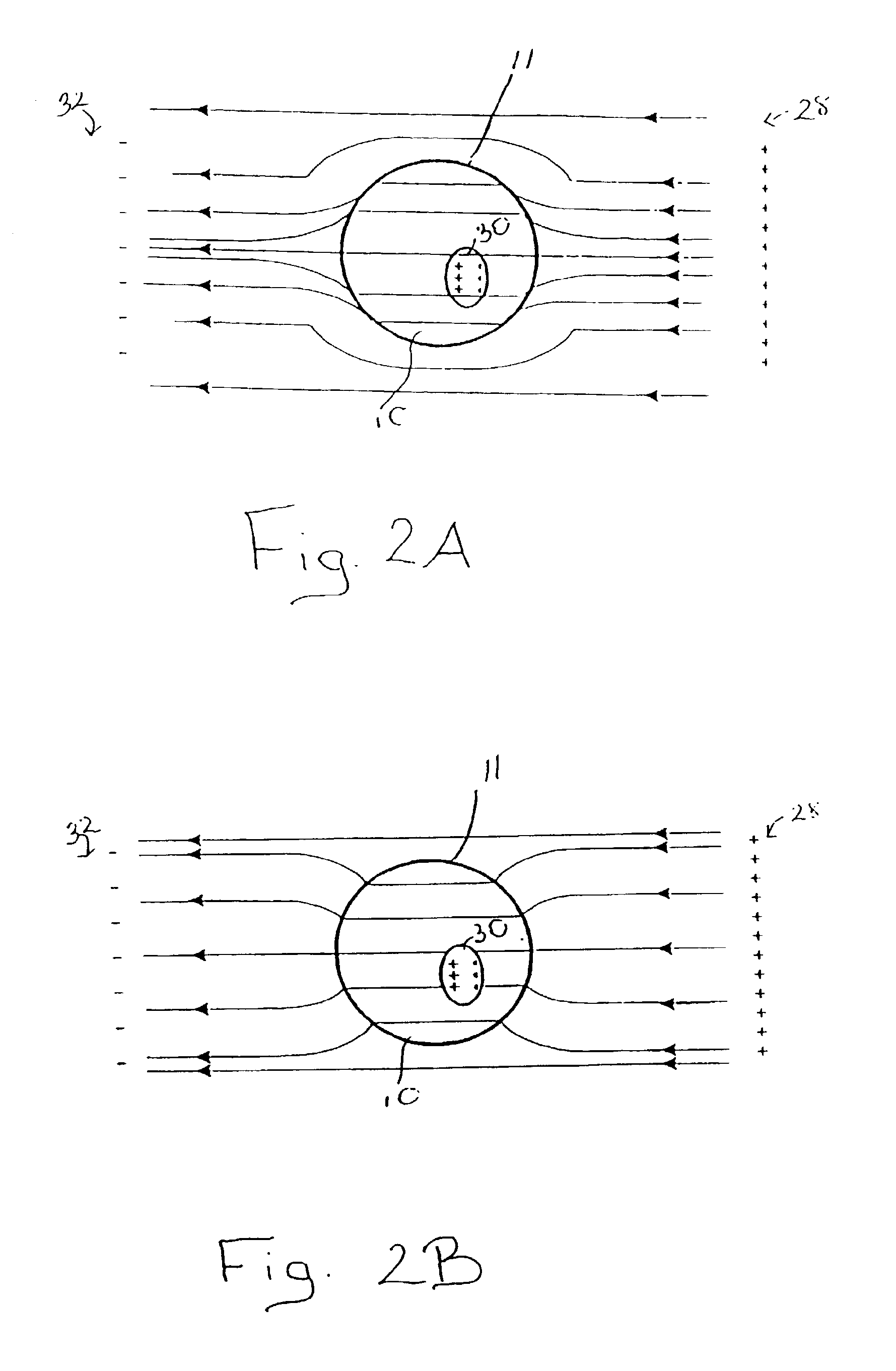 Method and apparatus for destroying dividing cells