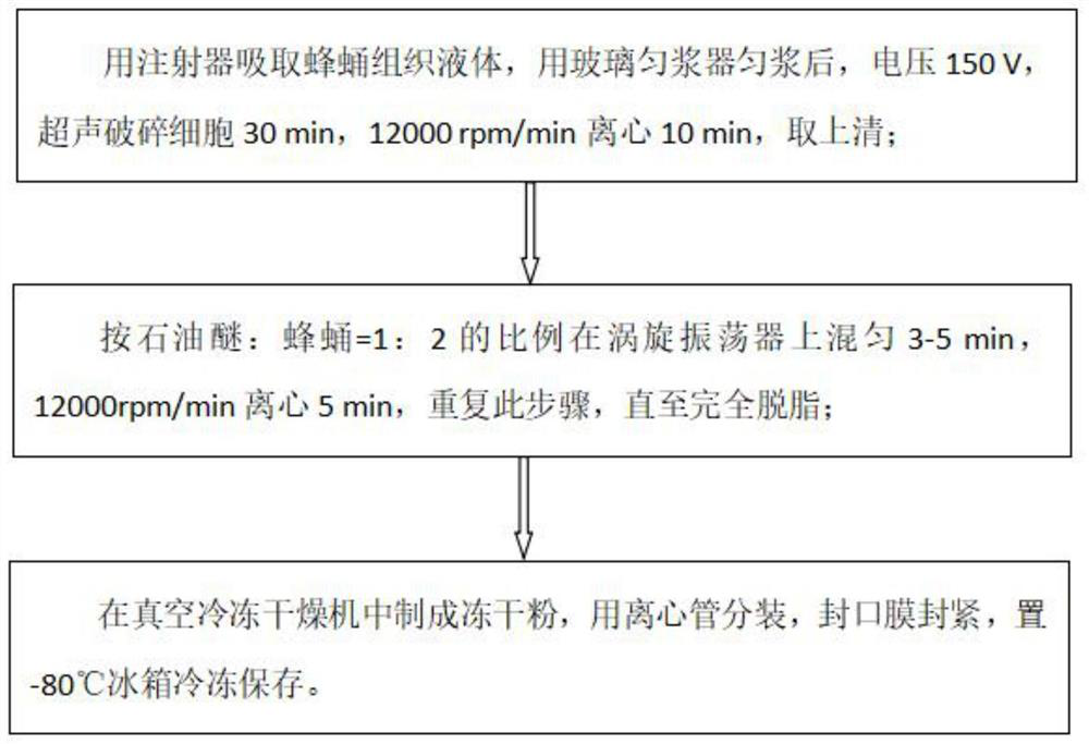 A kind of bee pupa extract and its application in protecting cisplatin-induced kidney injury