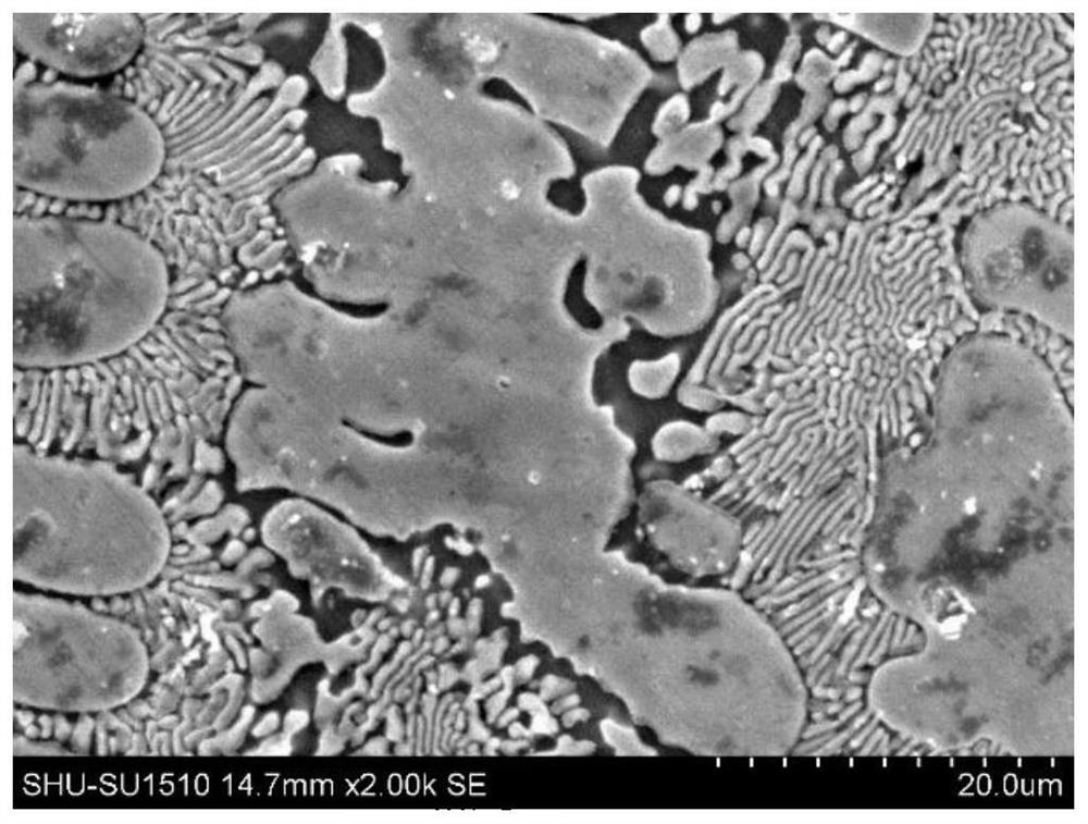 A method of solidifying under pressure to prepare al-cu alloy with high cu content