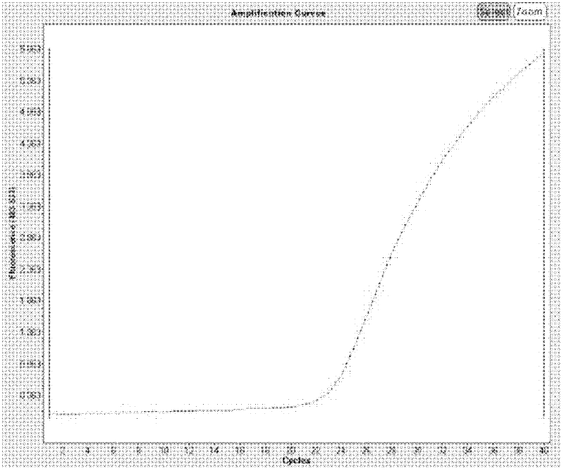 Method for rapidly detecting human leucocyte antigen B27 (HLA-B27) and kit thereof