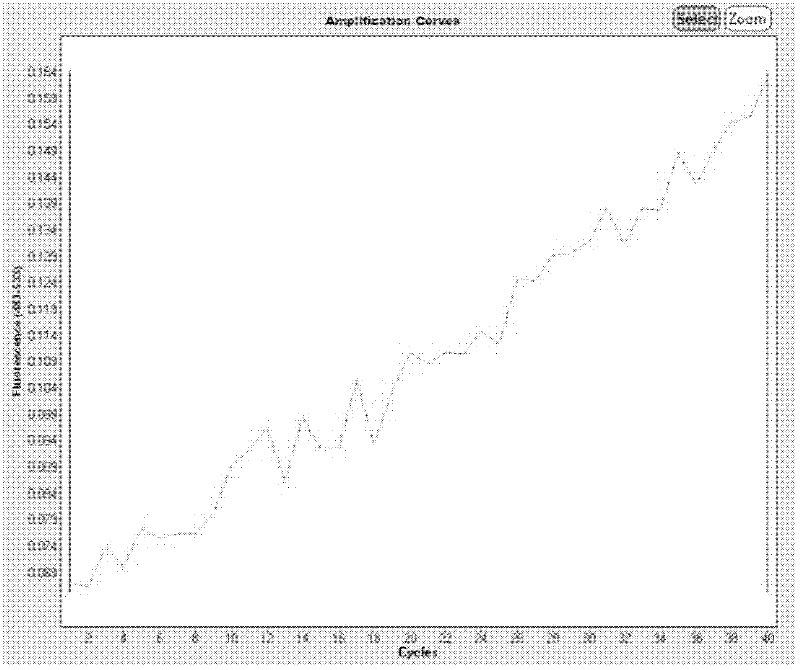 Method for rapidly detecting human leucocyte antigen B27 (HLA-B27) and kit thereof