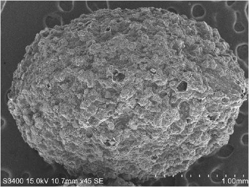 Preparation method of alginate metal cross-linked chitosan adsorption material and application thereof