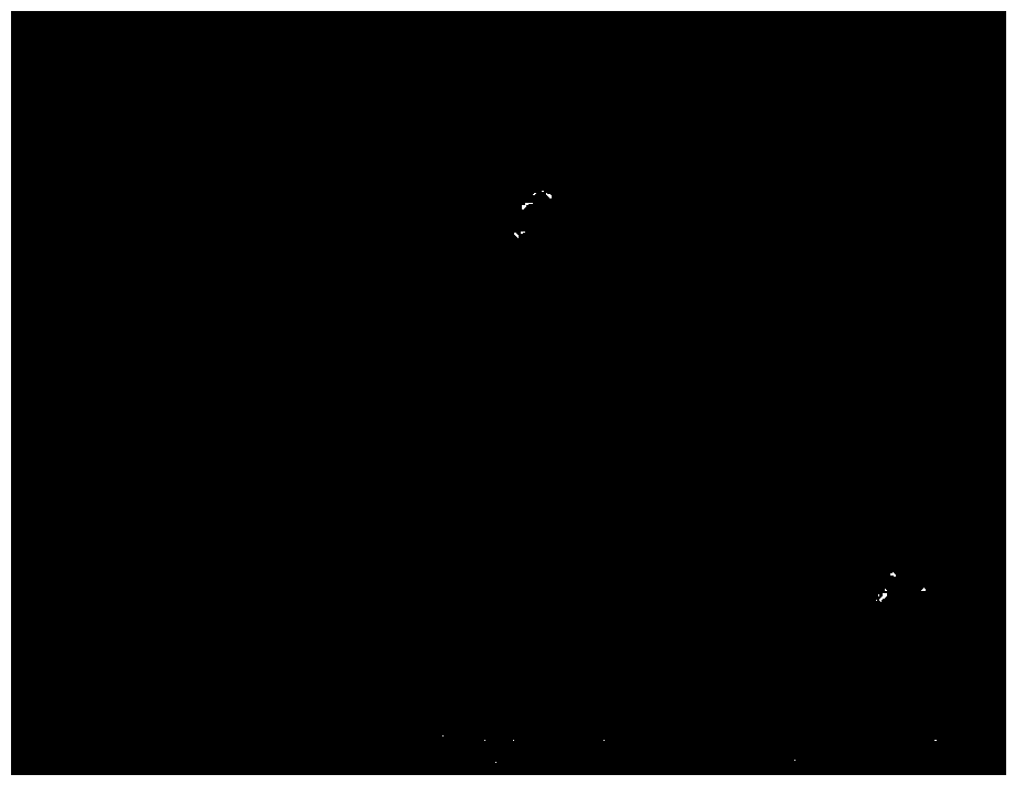 Preparation method of metal chalcogen compound thin film