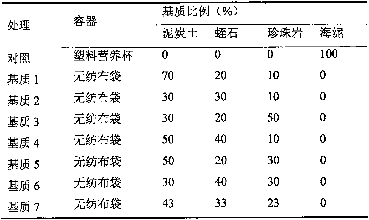 Optimized method for cultivating containerized seedlings of mangrove plant kandelia obovata