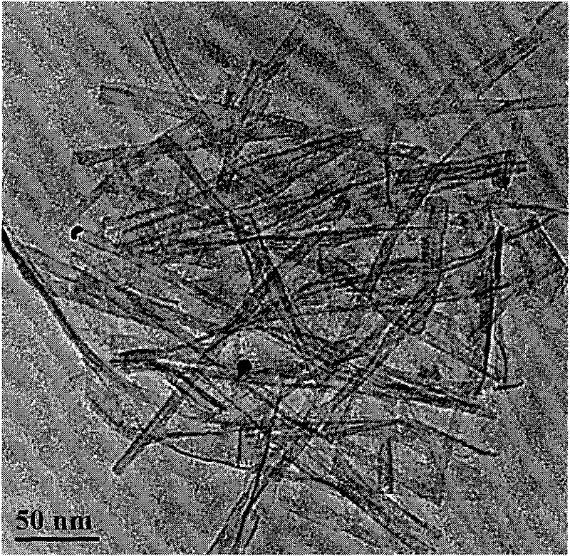 Method for preparing TiO2 nanocryatal/nanotube composite photocatalyst