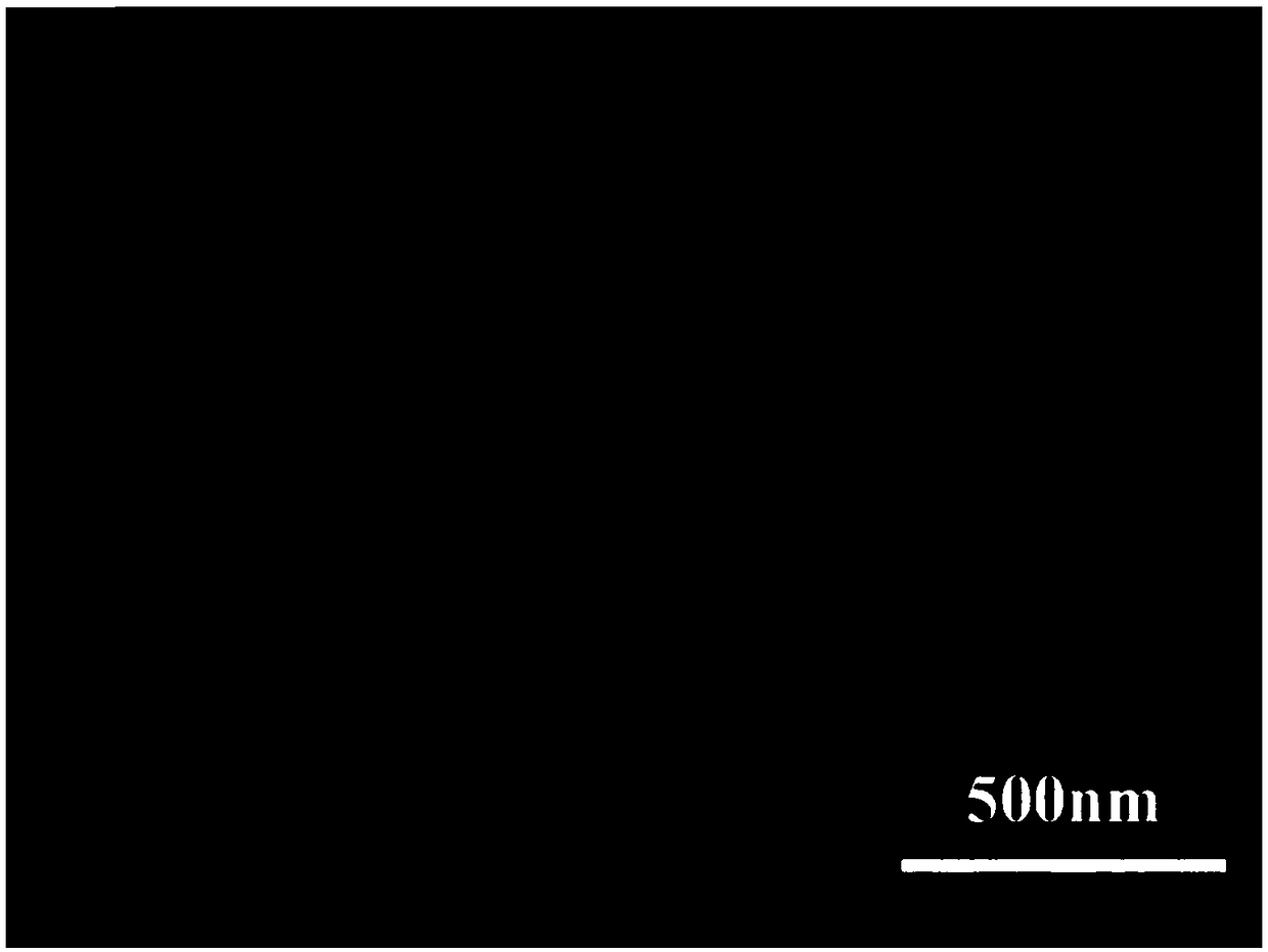 Cobalt molybdate composite carbon dot lithium ion battery positive electrode material and preparation method thereof