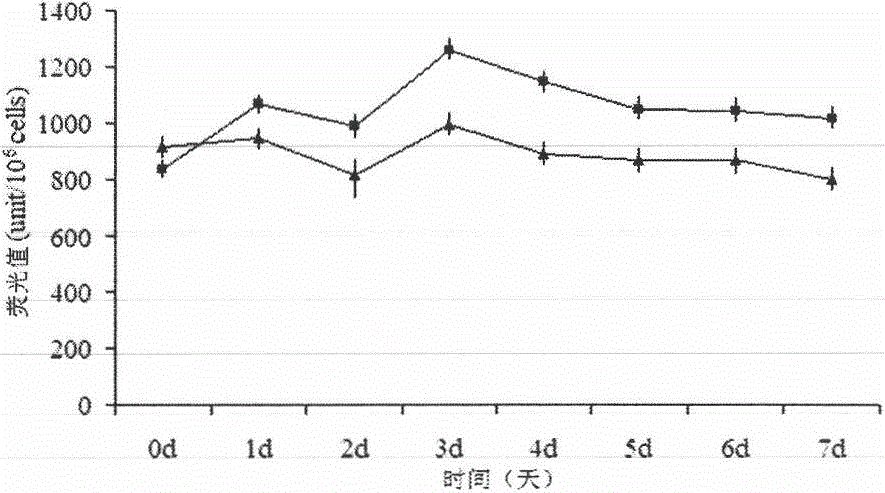 Application of gene NgAUREO1 of nannochloropsis gaditana to adjustment and control of metabolism of fatty acid