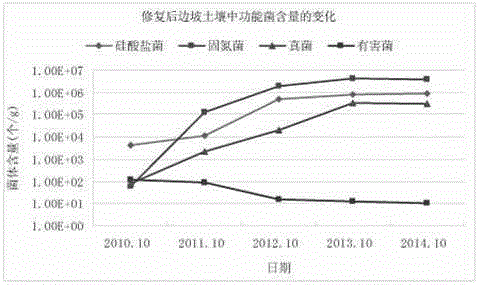 Microorganism substrate blanket used to restore vegetation on side slope and revetment, and installation method