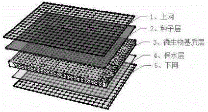 Microorganism substrate blanket used to restore vegetation on side slope and revetment, and installation method