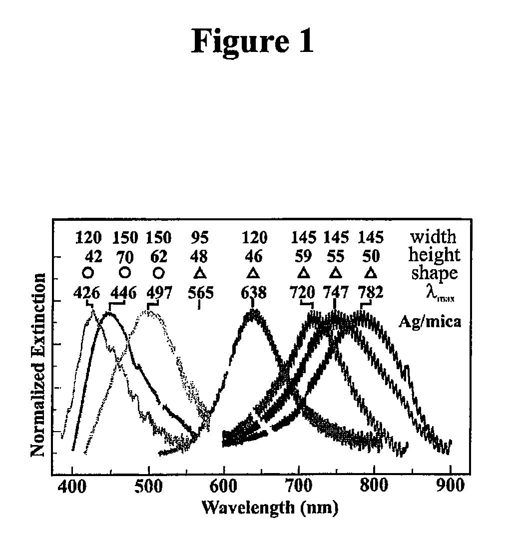 Surface-enhanced raman nanobiosensor