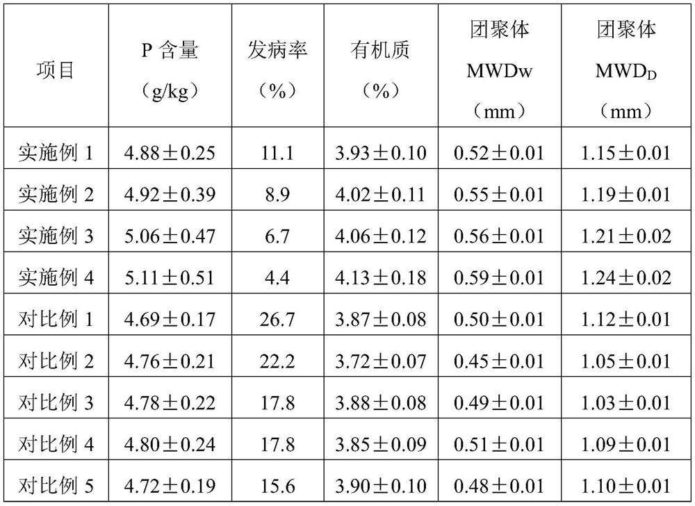 Method for improving quality and efficiency of tropical sandy farmland soil